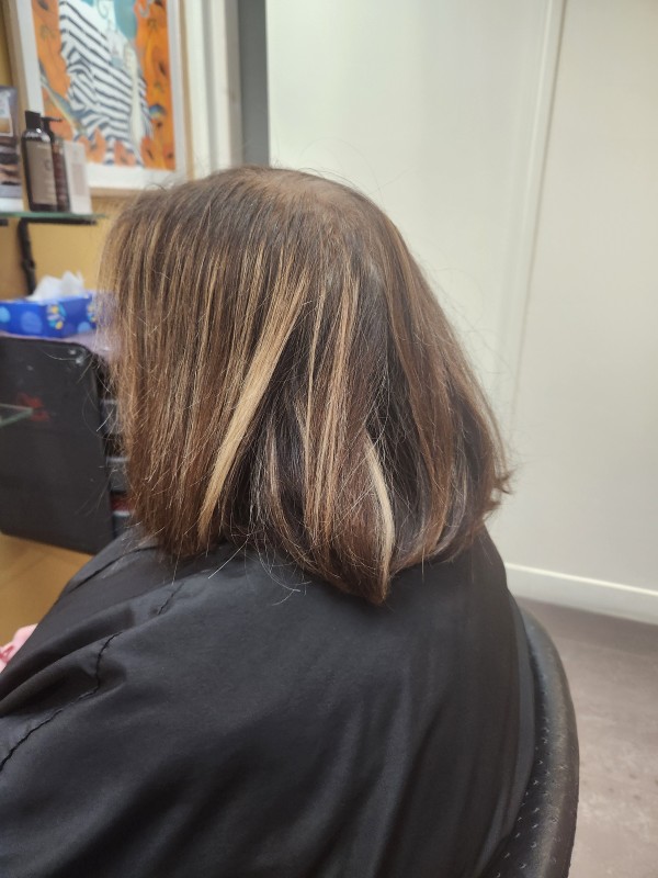 AVANT    chevelure coloree et méchée